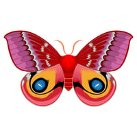 Image 1 of Io Moth 5" Decal