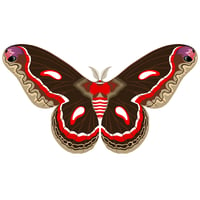 Image 1 of Cecropia Moth 5" Decal