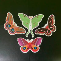 Image 2 of Cecropia Moth 5" Decal