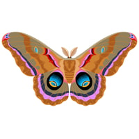 Image 1 of Polyphemus Moth 5" Decal