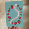 cute worm postcard set 