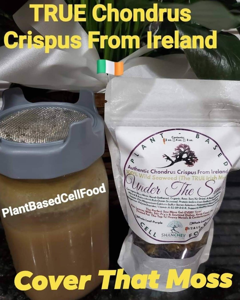 VEGETATION CELL NOURISHER-Chondrus Crispus Irish Sea Moss -105 Capsules