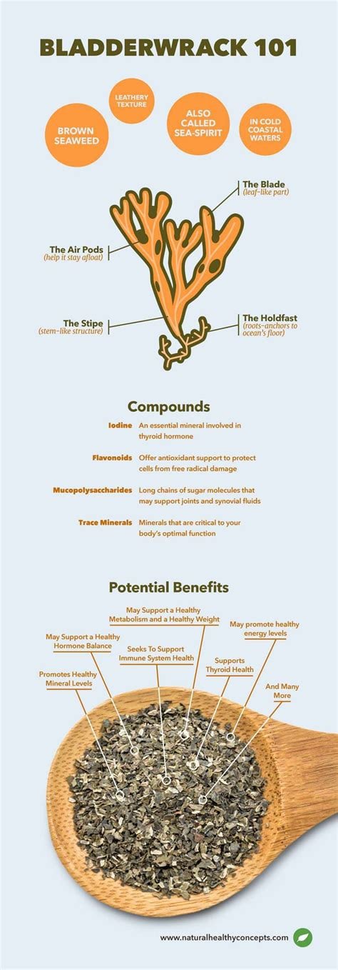 VEGETATION CELL NOURISHER-Chondrus Crispus Irish Sea Moss -105 Capsules