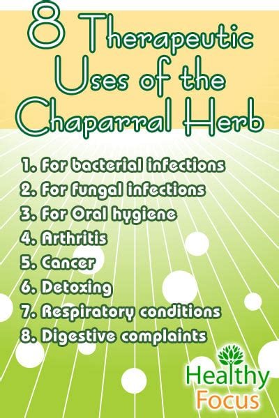 VEGETATION CELL NOURISHER-Chondrus Crispus Irish Sea Moss  -105 Capsules