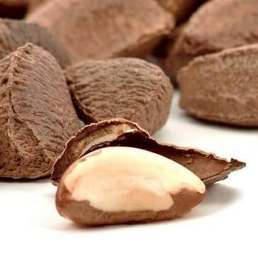 HIGH Selenium Wild-Raw-Amazon Grown Brazil Nut Seeds/ Protein Powder-Testosterone-Fertility-Thyroid