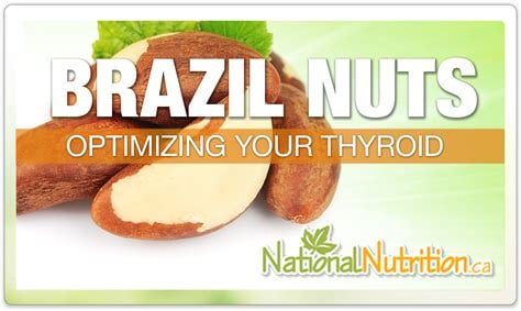 HIGH Selenium Wild-Raw-Amazon Grown Brazil Nut Seed Protein Powder-Testosterone-Fertility-Thyroid