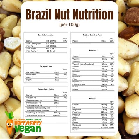 HIGH Selenium Wild-Raw-Amazon Grown Brazil Nut Seeds/ Protein Powder-Testosterone-Fertility-Thyroid