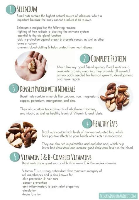 HIGH Selenium Wild-Raw-Amazon Grown Brazil Nut Seeds/ Protein Powder-Testosterone-Fertility-Thyroid