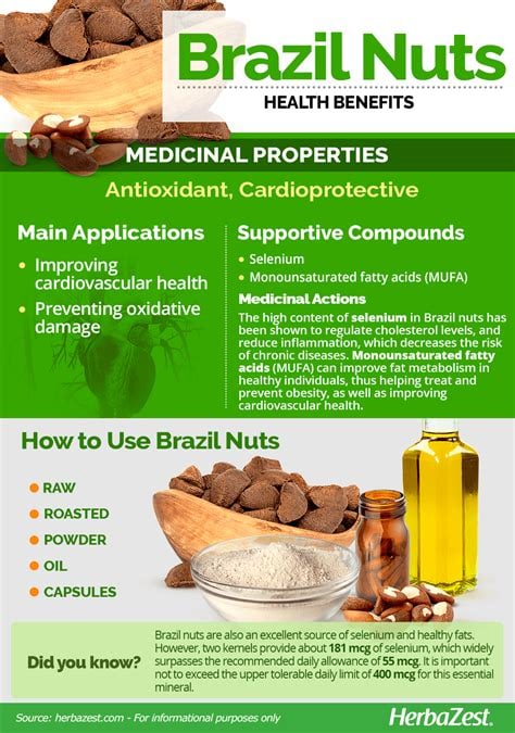 HIGH Selenium Wild-Raw-Amazon Grown Brazil Nut Seeds/ Protein Powder-Testosterone-Fertility-Thyroid