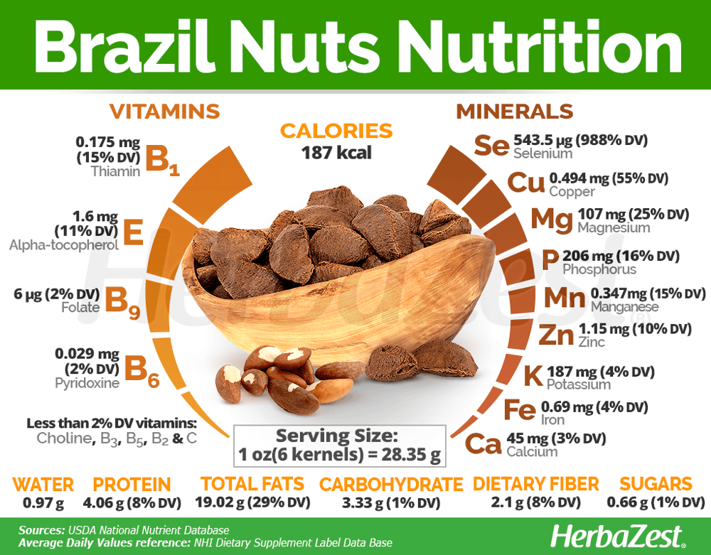 HIGH Selenium Wild-Raw-Amazon Grown Brazil Nut Seed Protein Powder-Testosterone-Fertility-Thyroid