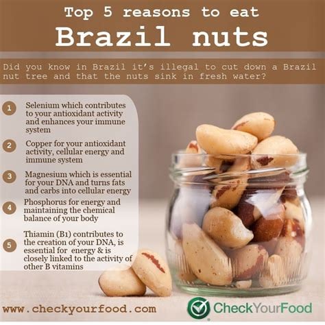 HIGH Selenium Wild-Raw-Amazon Grown Brazil Nut Seeds/ Protein Powder-Testosterone-Fertility-Thyroid