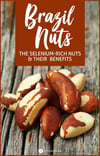 HIGH Selenium Wild-Raw-Amazon Grown Brazil Nut Seeds/ Protein Powder-Testosterone-Fertility-Thyroid