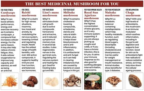 WILD MEDICINAL MUSHROOMS: Lion's Mane-Chaga-Turkey Tail-Maitake-Cordyceps (Himalayan Viagra). DNA.