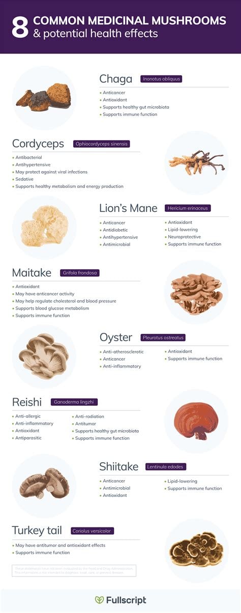 WILD MEDICINAL MUSHROOMS: Lion's Mane-Chaga-Turkey Tail-Maitake-Cordyceps (Himalayan Viagra). DNA.