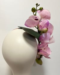 Image 3 of Lilac orchid trail