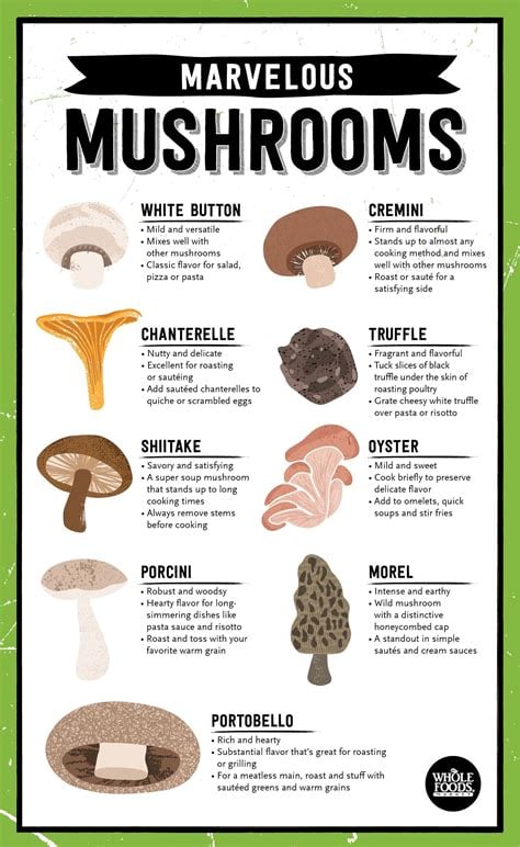 FORAGED FUNGUS Wild Seasonal Dehydrated Mushrooms (1 oz.)-Lions' Mane-Lobster-Matsutake-Maitake-Etc.
