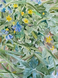 Image 3 of 'Lost in the bluebells' Print