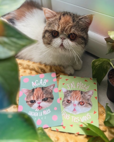 Image of NICOLE ✤ Cartes postales 
