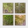 Nature Takeover | Living Walls