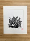 Mr Badger