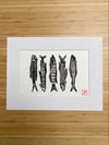 Sardines