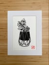 Money plant