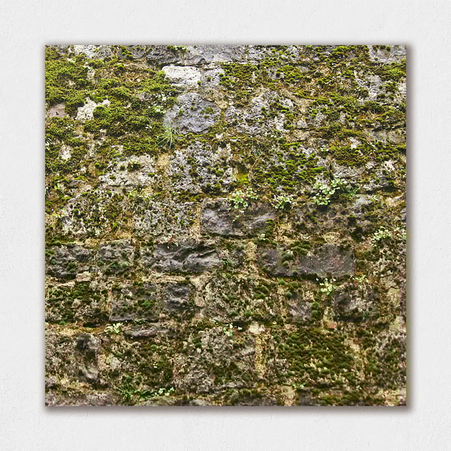 Nature Takeover | Living Walls