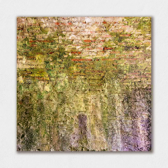 Nature Takeover | Living Walls