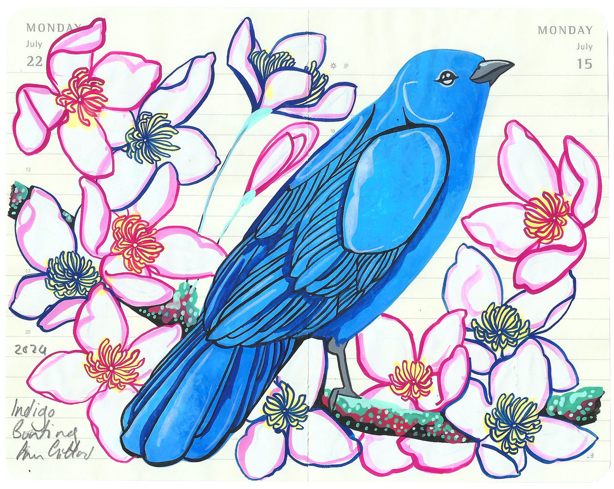 Image of Indigo Bunting