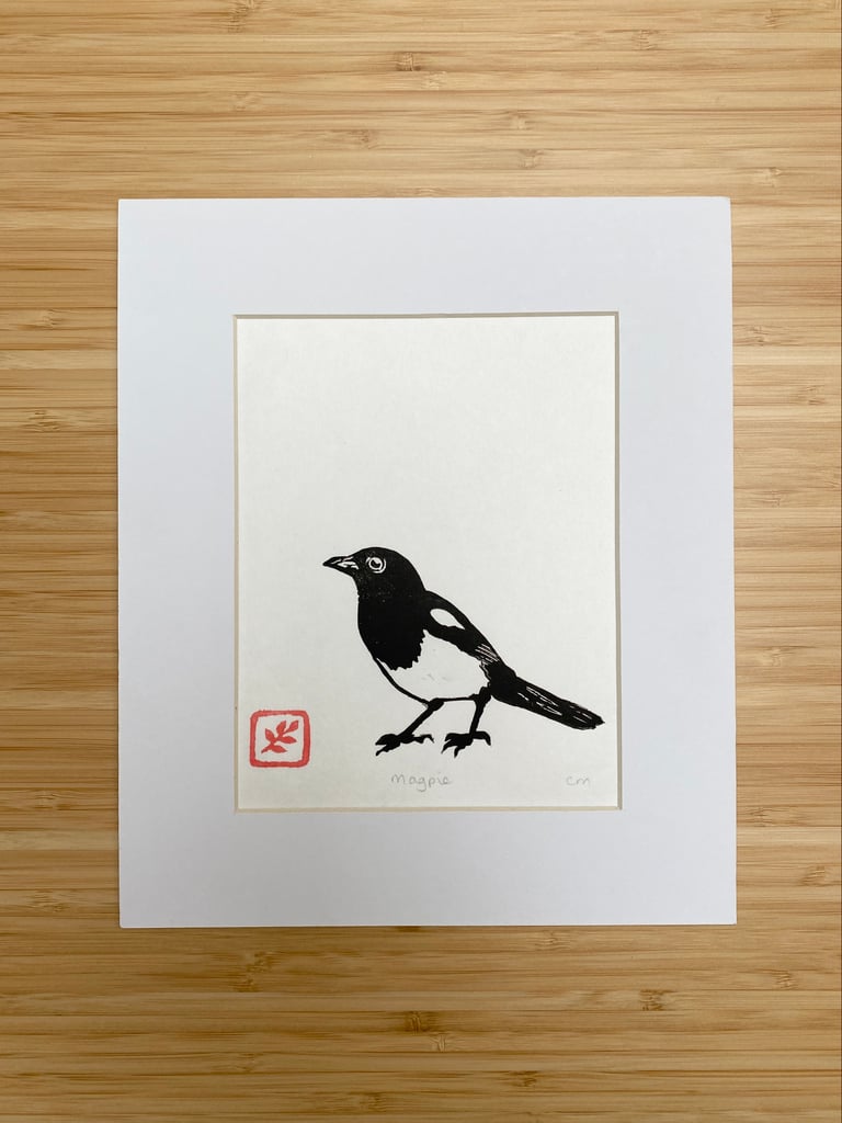Little Magpie 