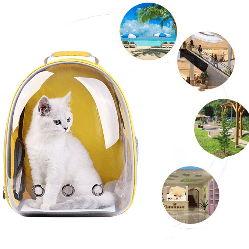 FelineFolio: Cat Bag, Pet Backpacks, & Space Capsules