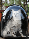 FelineFolio: Cat Bag, Pet Backpacks, & Space Capsules
