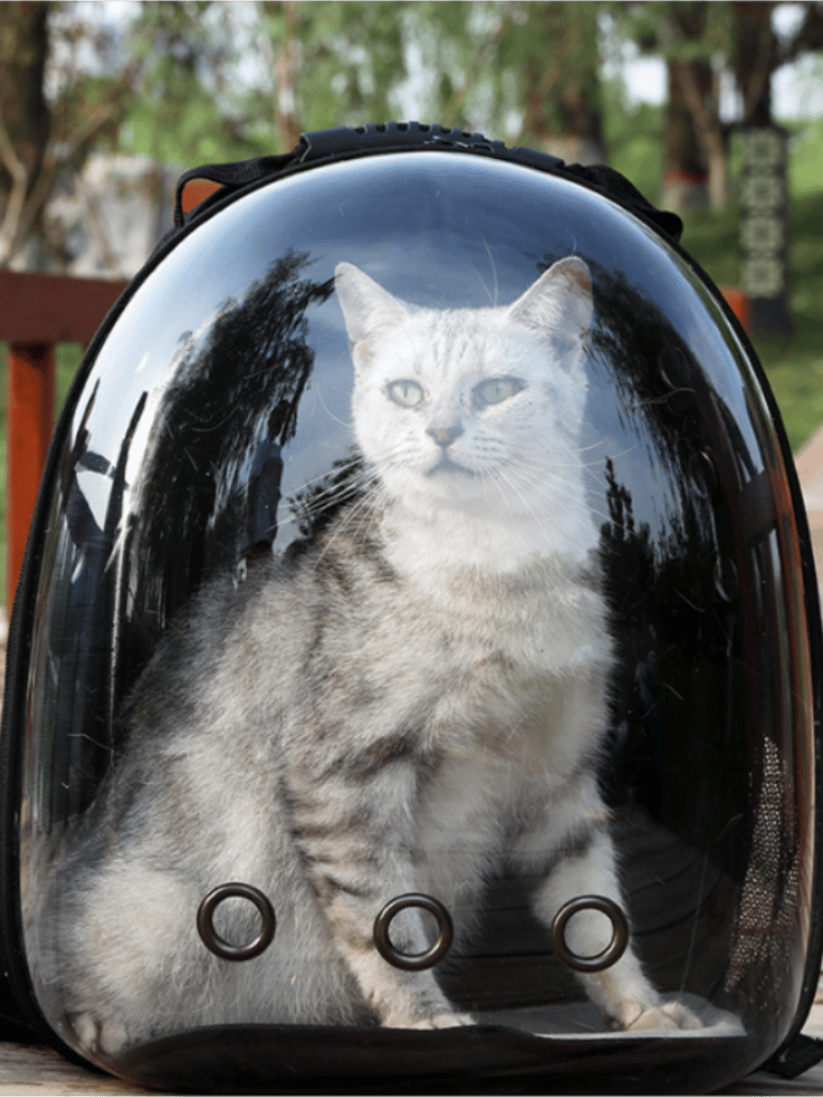 FelineFolio: Cat Bag, Pet Backpacks, & Space Capsules
