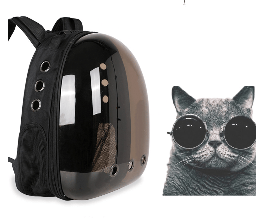FelineFolio: Cat Bag, Pet Backpacks, & Space Capsules