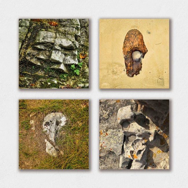 Pareidolia | Guardians