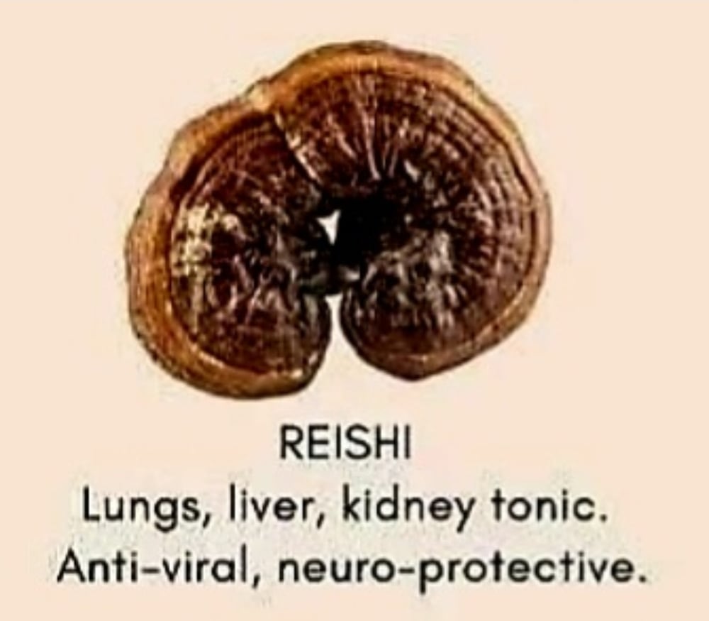 WILD MEDICINAL MUSHROOMS: Lion's Mane-Chaga-Turkey Tail-Maitake-Cordyceps (Himalayan Viagra). DNA.