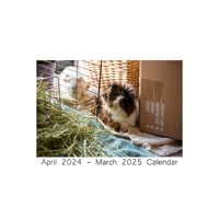 Image 8 of April 2024 - March 2025 Calendar *PREORDER*