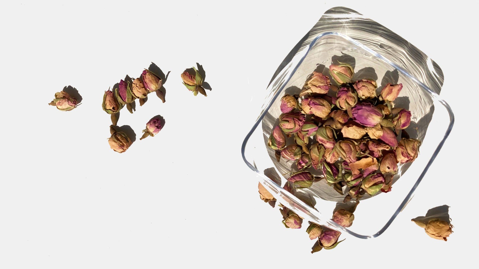 Image of ROSEBUDS / FLORAL TEA
