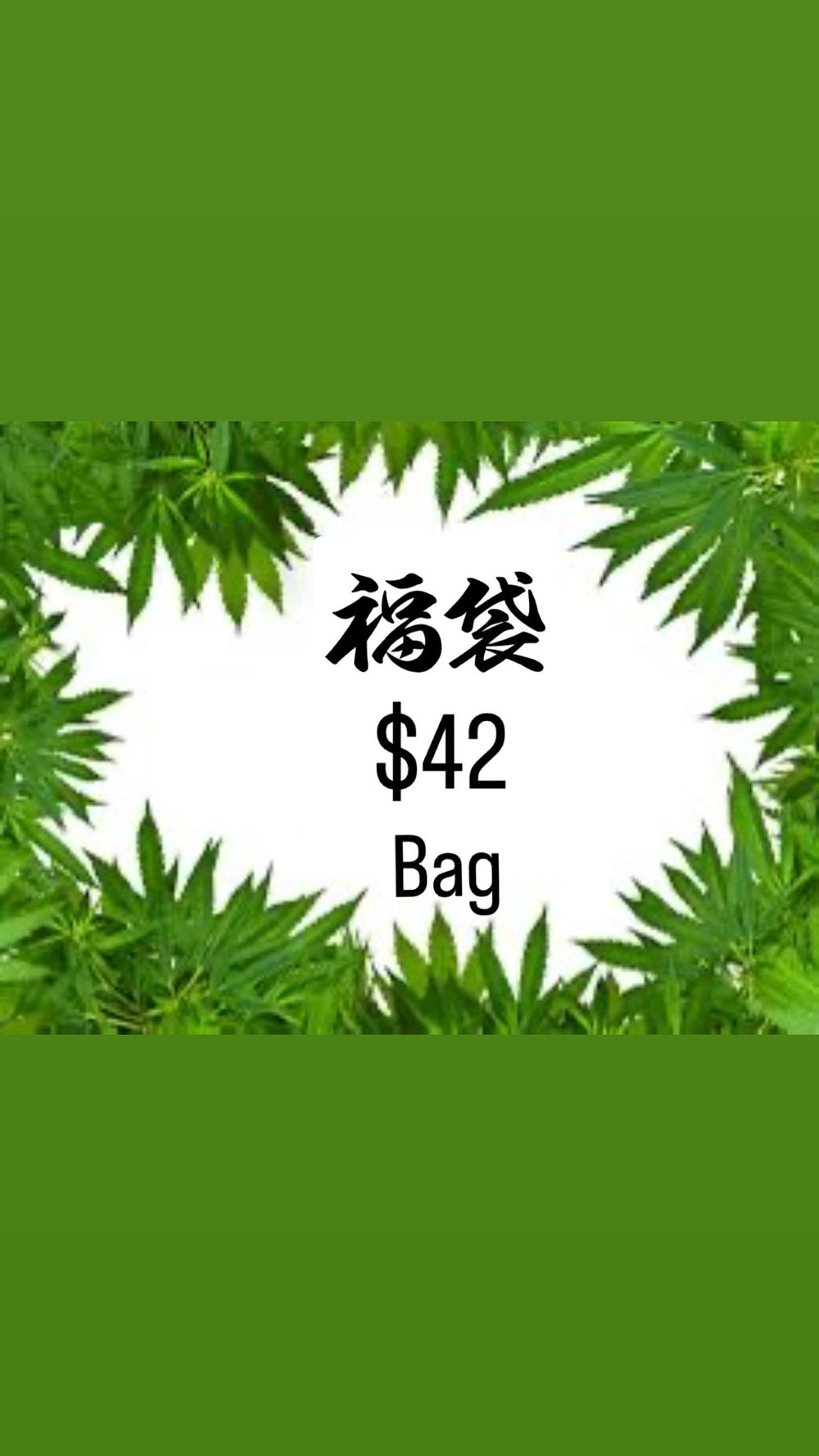 Image of $42 bag 