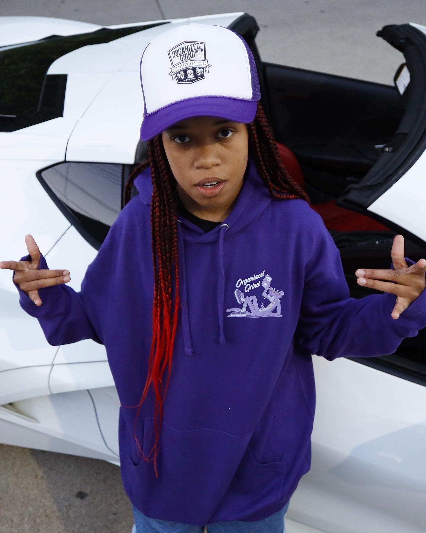 Image of New Purple Panther Hoodie + OG Trucker Hat 