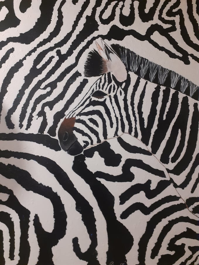 Image of Collidge Daaaze-Zebra