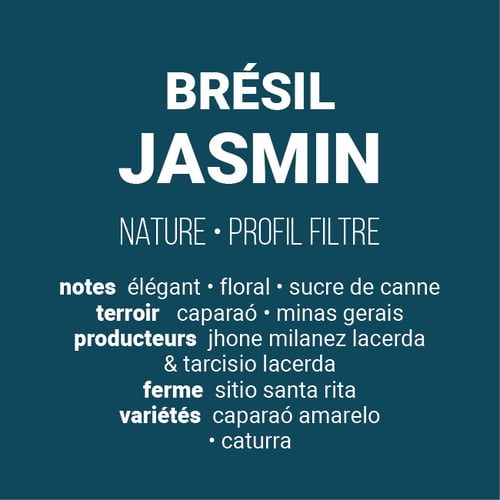 Image of Jasmin - Brésil | FILTRE