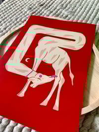 Image 2 of Girafe 🦒 