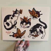 Lone Rose Cats and Butterflies Print