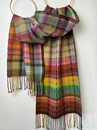 Image 4 of Molgh dhu (Blackbird)