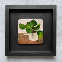 Image of Framed mini oil painting - Money Plant