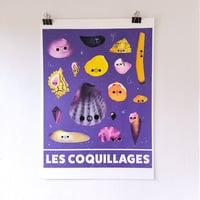 Image 1 of Grand poster : les coquillages