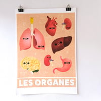 Image 1 of Grand poster : les organes