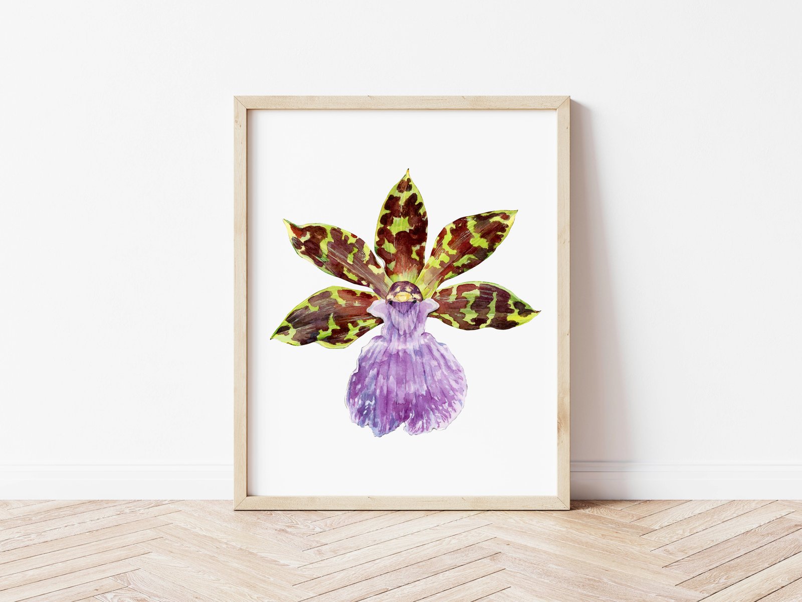 Orchid Zygopetalum Poster | arineillustrations