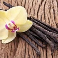 Vanilla Musk (15ML)